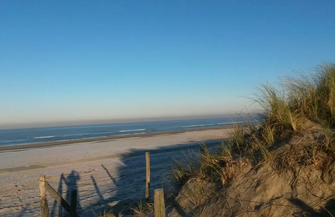 B&B Noordwijk Binnen-1